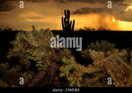 A sunset during a monsoon shower is seen from Sahuarita, Arizona, USA, in the Sonoran Desert. Stock Photo