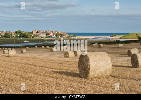 Straw bales in field and Alnmouth village in distance. Northumberland Stock Photo