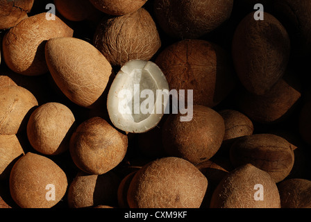 dry coconut ;  coconut oil is extracted from this dried cocouts. Stock Photo