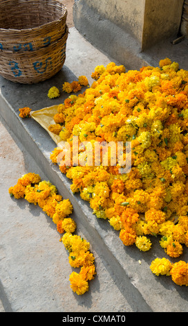 Marigold flowers for making garlands on front steps of an indian house. Andhra Pradesh, India Stock Photo