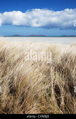 View of Traigh Mhor from behind maram grass covered sand dunes, Barra, Outer Hebrides, Scotland, UK