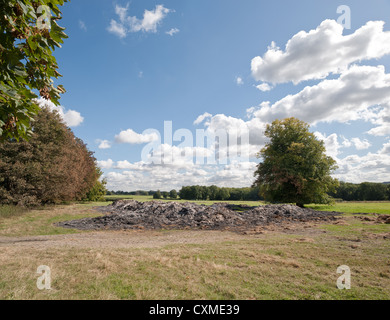 smoldering remains of ash burnt straw from over fire 500 hay bales scorched neighboring trees polluting smoke remained for 3 day Stock Photo