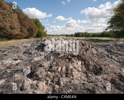 smoldering remains of ash burnt straw from over fire 500 hay bales scorched neighboring trees polluting smoke remained for 3 day Stock Photo