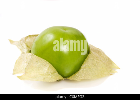 Three fresh tomatillos on a white background Stock Photo