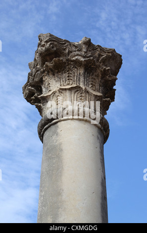 Detail of the top of a column at Volubilis World Heritage Roman Site in Morocco Stock Photo