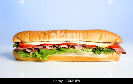 A beautiful meat, lettuce, tomato and cheese sandwich on a blue sky background Stock Photo