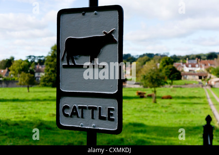 An unusual cattle sign on the edge of a field with the animals resting under a tree in the distance. Stock Photo