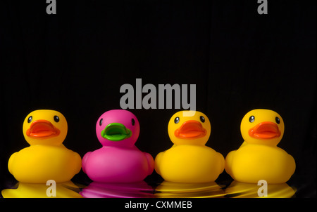 pink rubber duck surrounded by yellow rubber ducks on black background with water ripples Stock Photo