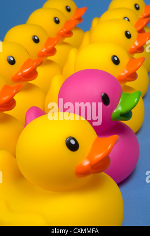 Purple rubber duck surrounded by yellow rubber ducks to emphasize individuality- on black background Stock Photo