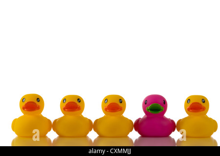 Row of yellow rubber ducks with a single pink one Stock Photo