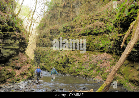 Two Botanists explore the Bach Howey (Bachawy) Gorge Stock Photo