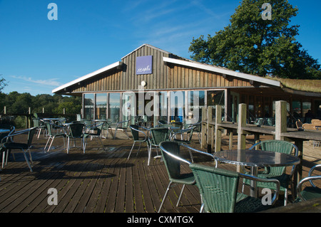 Westonbirt Arboretum cafe Stock Photo