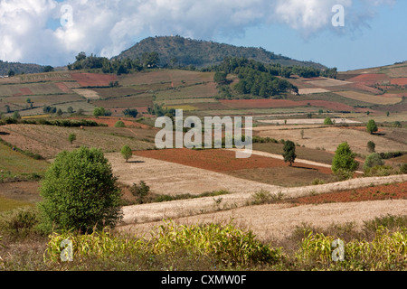 Myanmar, Burma. Farmland in Shan State. Stock Photo