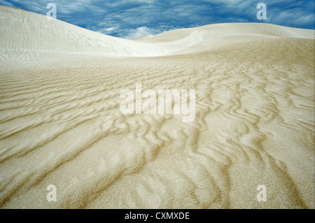 Cactus Beach Dunes under dark clouds. Stock Photo