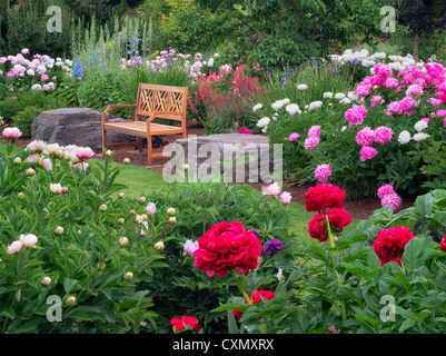 Peony garden and bench. Adleman Peony Garden, Salem, Oregon