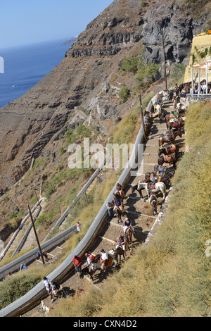 Donkey rides from the town of Firáold to port of Fira, Santorini, Cyclades, South Aegean Region, Greece Stock Photo