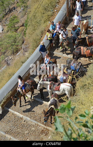 Donkey rides from the town of Firáold to port of Fira, Santorini, Cyclades, South Aegean Region, Greece Stock Photo