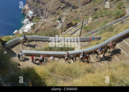 Donkey rides from the town of Firáold to port of Fira, Santorini, Cyclades, South Aegean Region, Greece Stock Photo