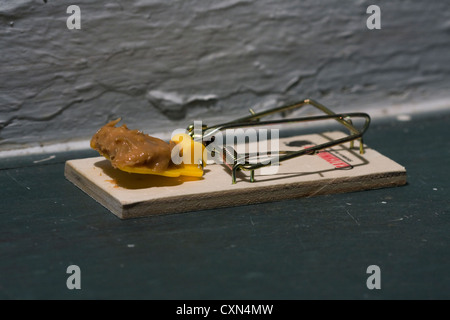 Mouse Trap on floor baited with Peanut Butter Stock Photo