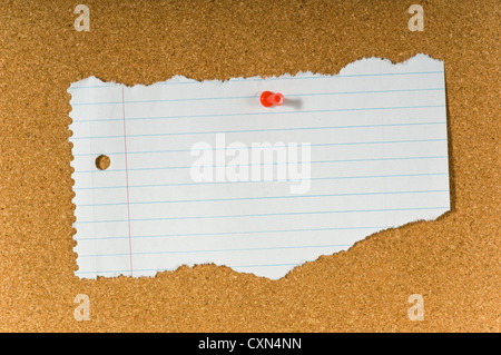blank Torn notebook paper on cork bulletin board Stock Photo