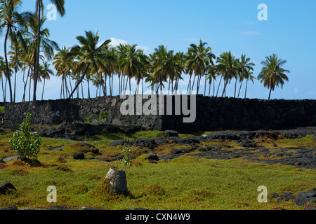 A heiau is a Hawaiian temple to treat the sick, offer first fruits, first catch, start rain, stop rain... Stock Photo