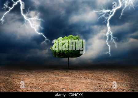 lone tree on a desert land, under a storm, global warming and climate change concept Stock Photo