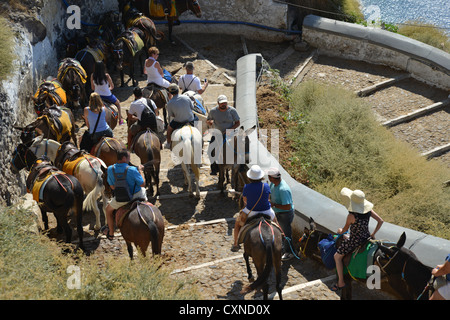 Donkey rides from the town of Firáold to port of Fira, Santorini, Cyclades, South Aegean Region, Greece Stock Photo