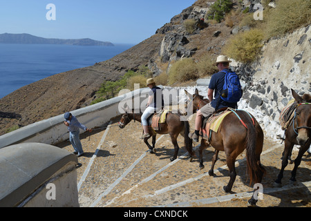 Donkey rides from the town of Firáold to port of Fira, Santorini, Cyclades, South Aegean Region, Greece Stock Photo