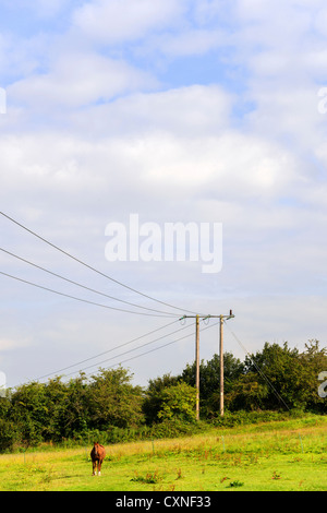 metal pylon carrying electricity supply power lines Stock Photo