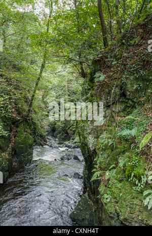 The gorge of the River Devon at Rumbling Bridge, Perth and Kinross, Scotland. Stock Photo