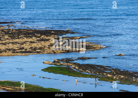 Greens Haven bay at Berwick on Tweed, Northumberland. Stock Photo