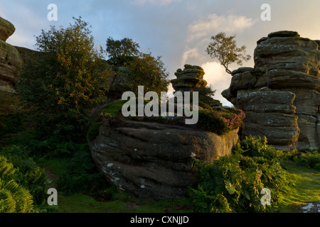 Brimham Rocks, National Trust, Yorkshire, sunrise, autumn Stock Photo