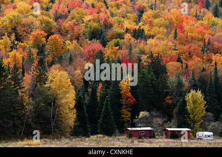 Fall foliage, Dixville Notch, New Hampshire, USA Stock Photo