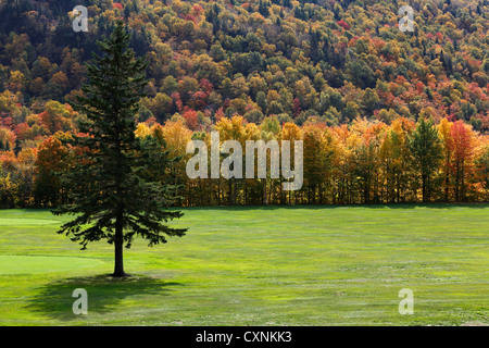 Fall foliage, Dixville Notch, New Hampshire, USA Stock Photo