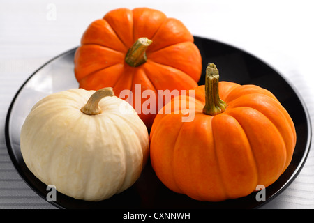 Orange Jack Be Little and white Baby Boo miniature pumpkins on a black plate Stock Photo