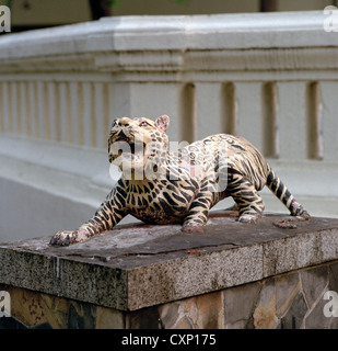 Buddhist temple Wat Suan Dok in Chiang Mai in Thailand in Far East Southeast Asia. Tiger Animal Sculpture Statue Buddhism Art Wildlife Travel Stock Photo