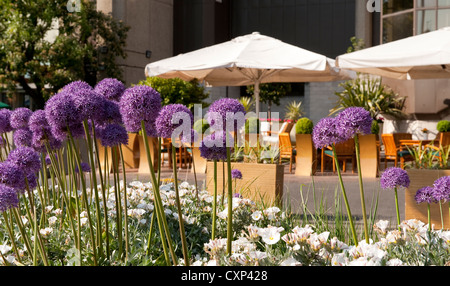 Close up of flowers in front of an outdoor dining area, London, England. Stock Photo