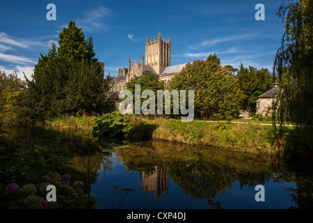 Wells City cathedral viewed from across the moat in the grounds of the Bishops palace. Stock Photo