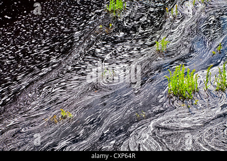 A calm slow moving river producing interesting patterns of foam. Stock Photo