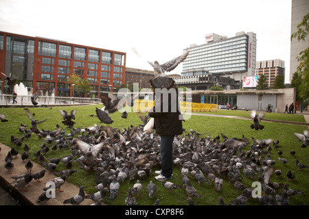 Pigeons feeding in Piccadilly Garden Manchester UK Stock Photo
