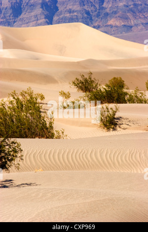 Sand Dunes Death Valley California USA Stock Photo