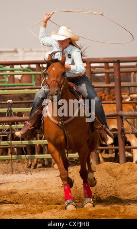 Cowgirl on her saddle horse calf roping at the Rodeo event, Bruneau, Idaho, USA Stock Photo