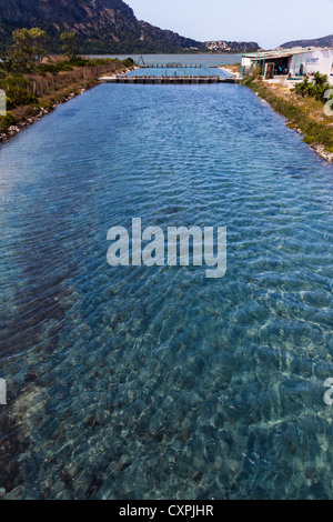 Natural fish hatchery also known as 'divari' located near Voidokilia in Messinia prefecture Stock Photo