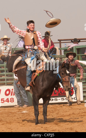 Cowboy Saddle Bronc riding during the Rodeo event, Bruneau, Idaho, USA Stock Photo