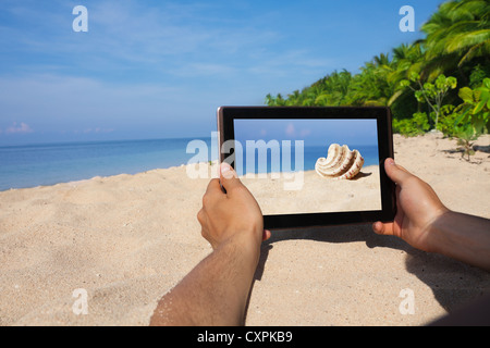 hands holding tablet and taking photo of conch Stock Photo