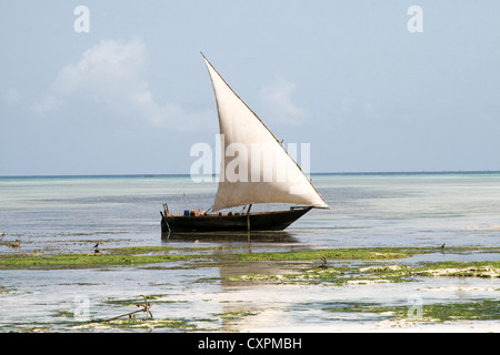 Traditional boat of Zanzibar Island Stock Photo