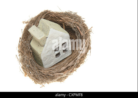 Real bird nest isolated on white background Stock Photo - Alamy