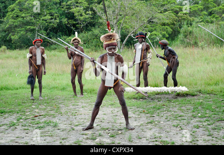 A headhunter warriors of a Papuan Dugum Dani tribe in traditional clothes and coloring with spears Stock Photo