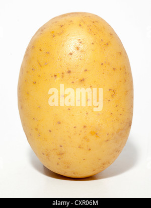 Raw potato Stock Photo