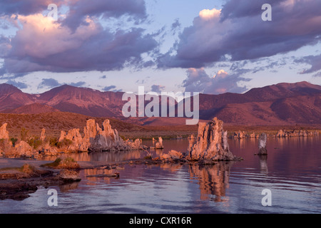 Tufa rock formation, mono lake, california, usa Stock Photo
